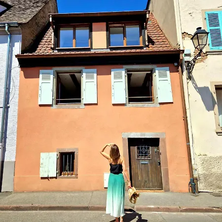Home La Petite Porte - Petite Venise - Colmar Exterior photo